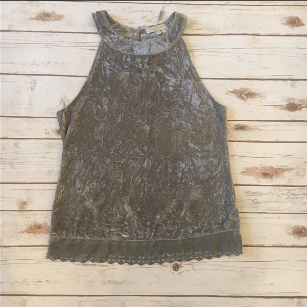 Solitaire by Ravi Khosla Gray Velvet Scallop Top Size Medium